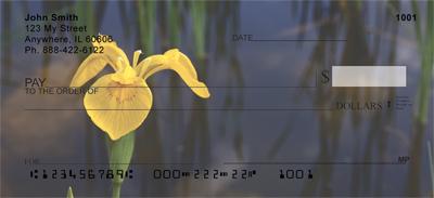 Yellow Iris
