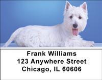 Classic Westies Address Labels