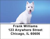 Classic Westies Address Labels