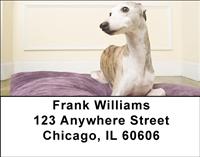 Elegant Whippets Address Labels