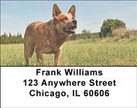 Tan Australian Cattle Dogs Address Labels
