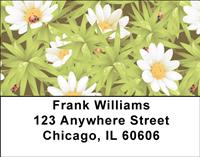 Crazy About Ladybugs Address Labels