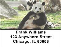 Panda Family Address Labels