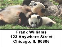 Panda Family Address Labels