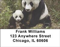 Panda Family Address Labels